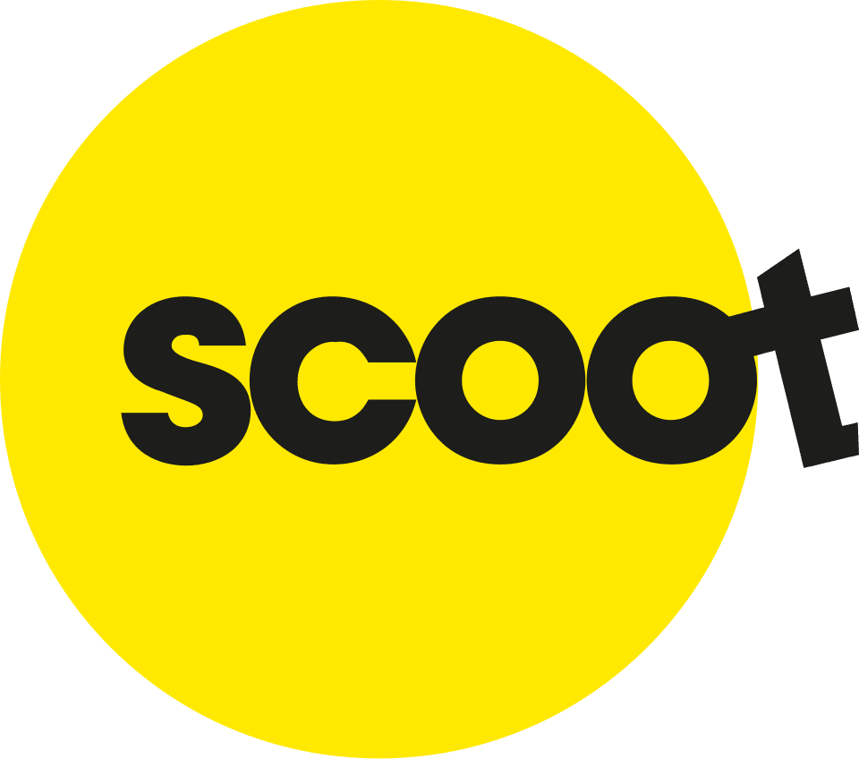 Airline logo