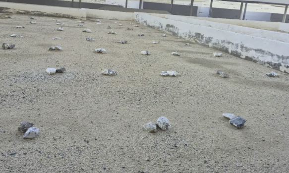 Al Muallaa Cemetery