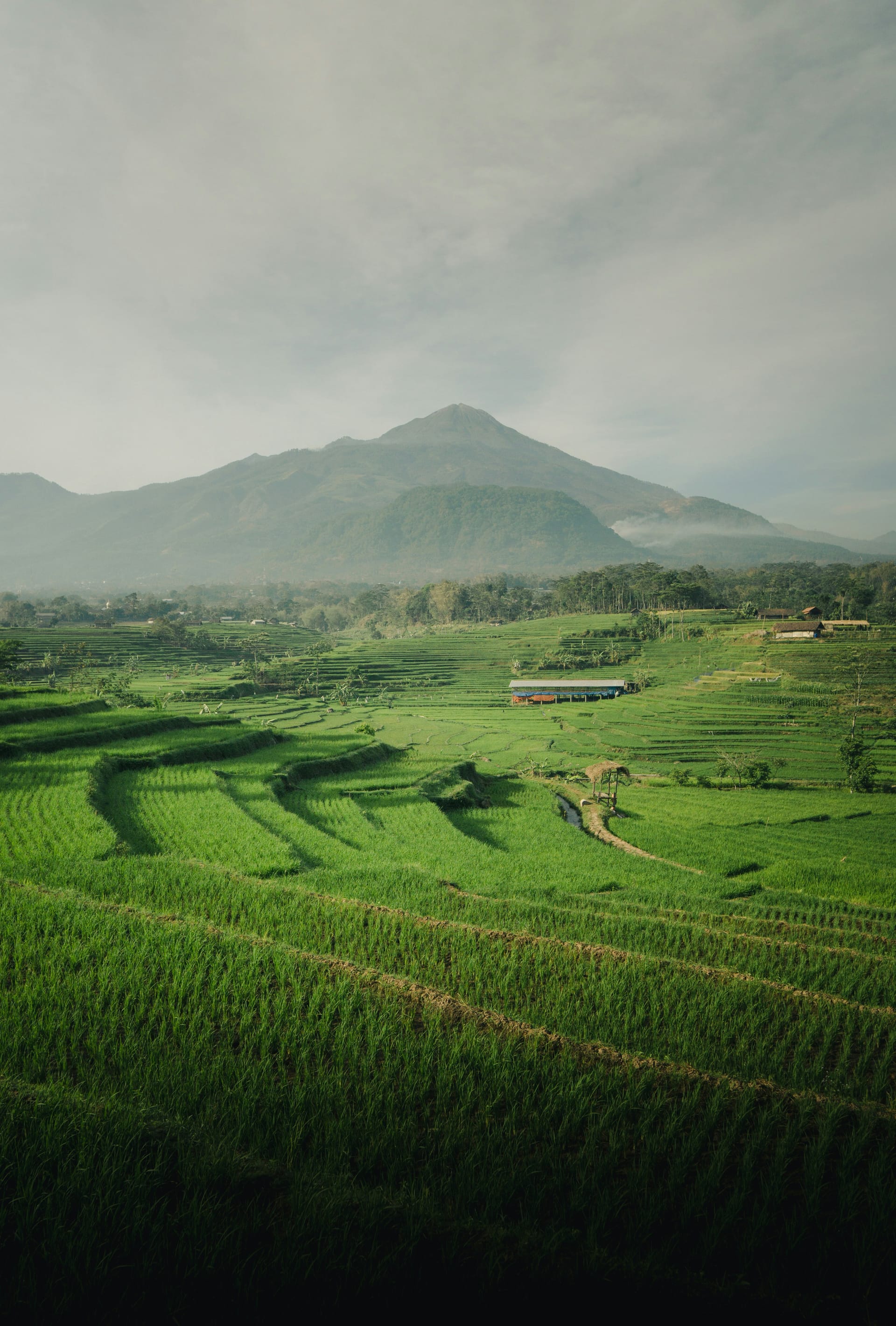 Indonesia