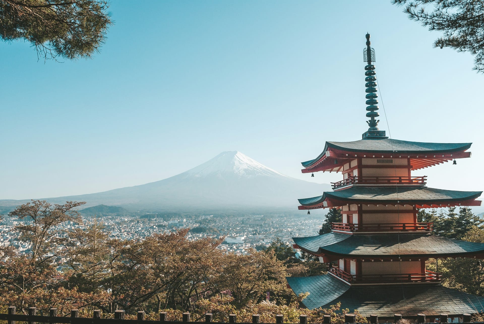9 Day Japan: Osaka to Tokyo